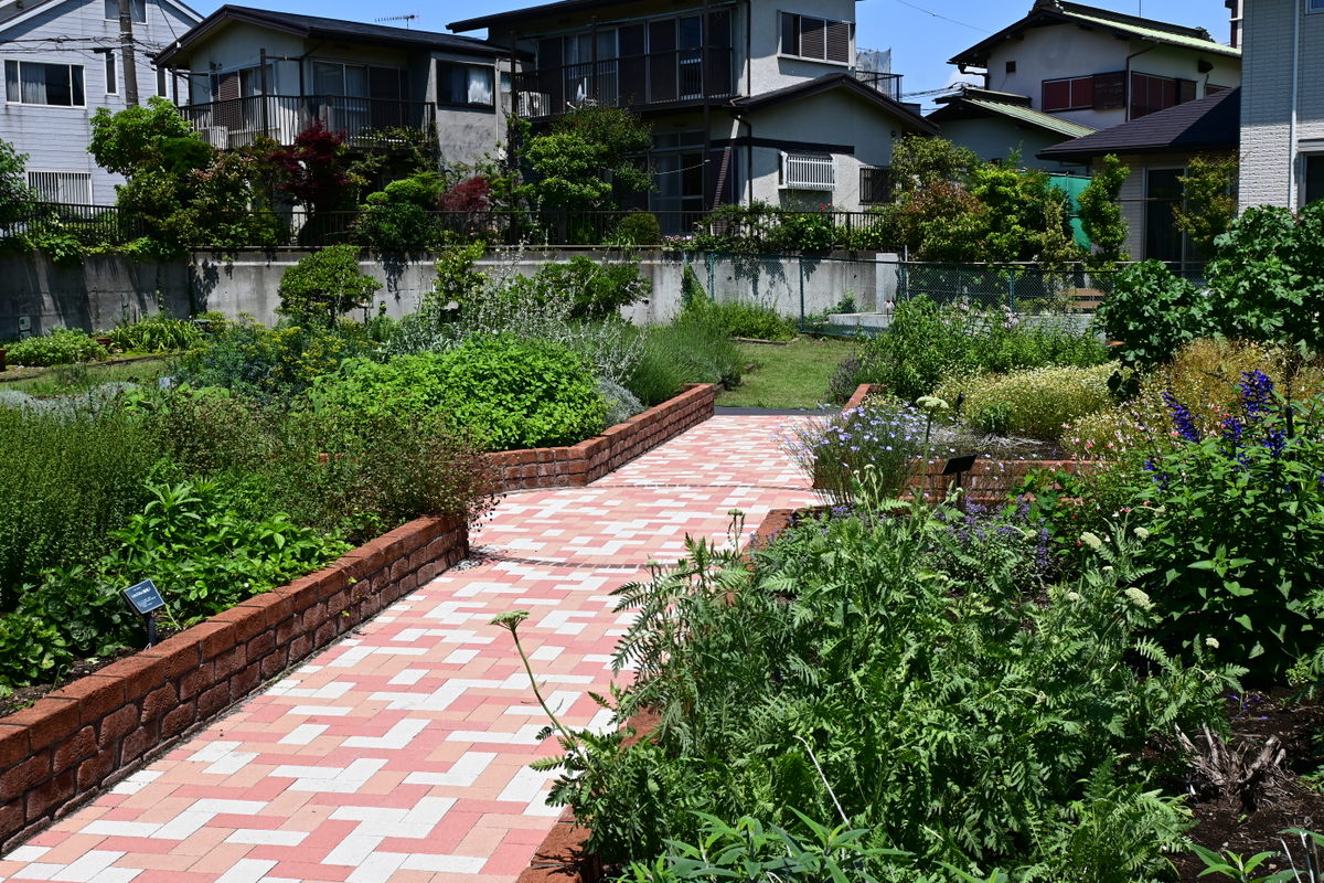 長久保公園：ハーブ見本園