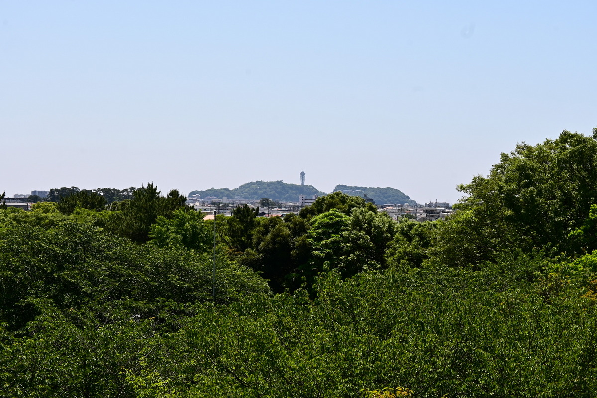 長久保公園：展望広場から見た江の島