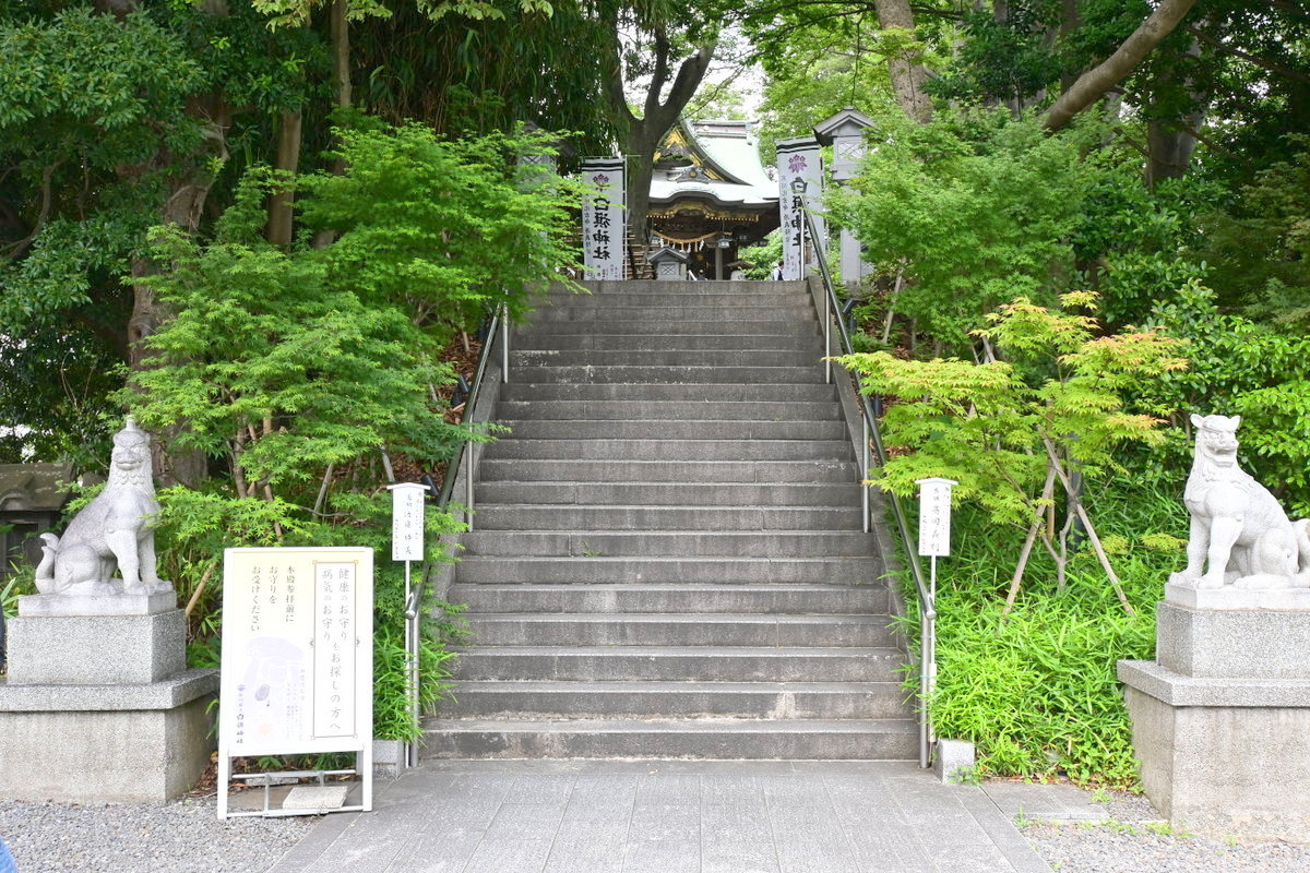 白旗神社：階段と狛犬