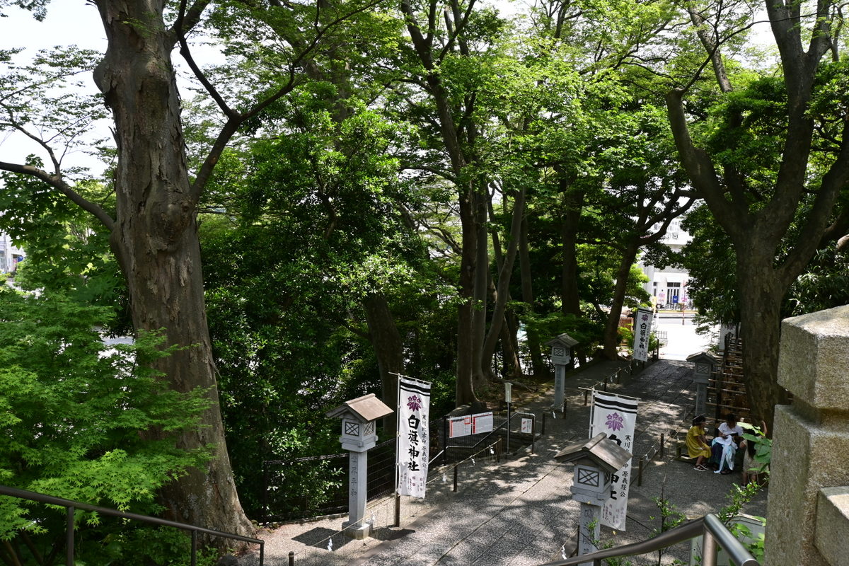 白旗神社：社殿前からの眺め