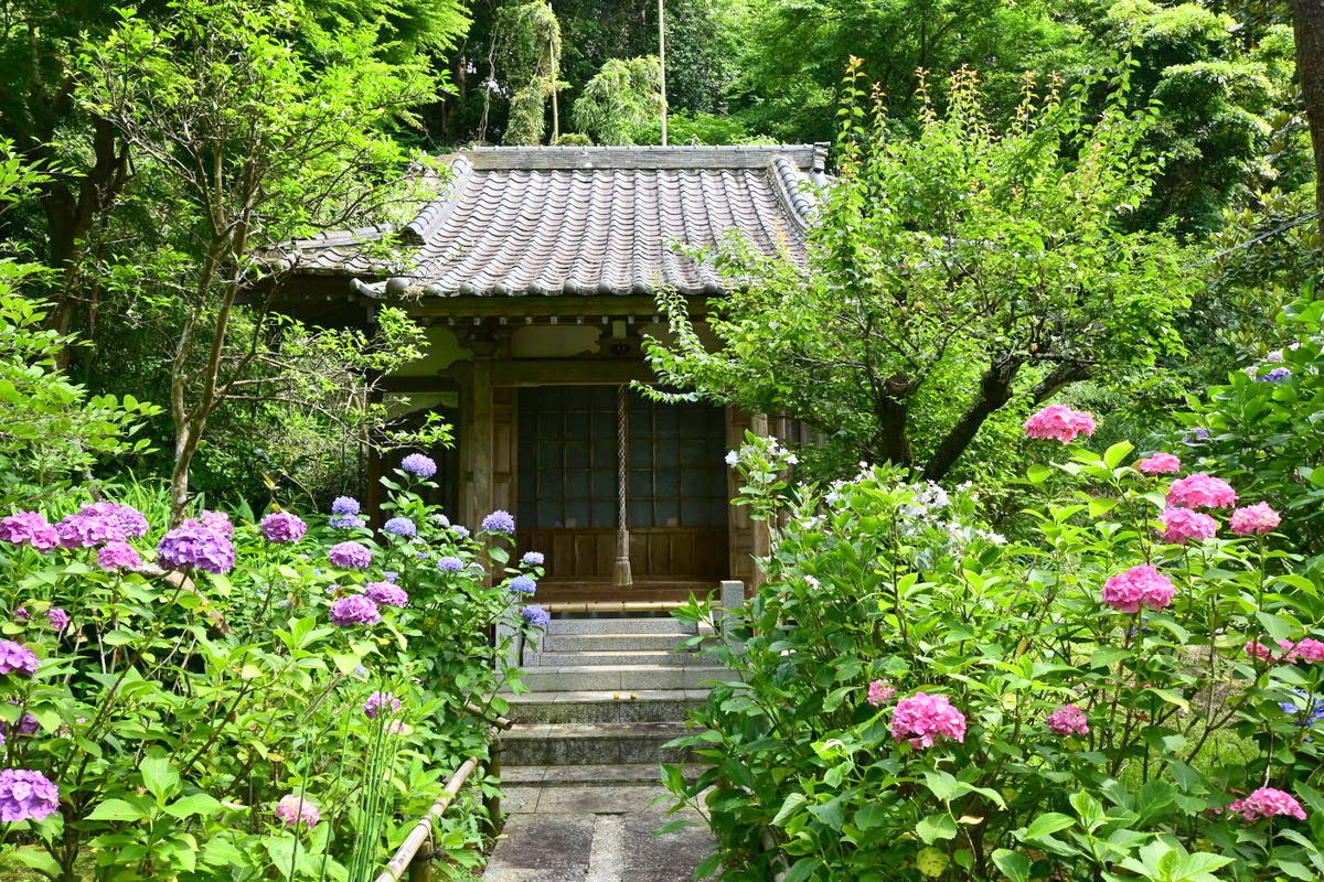 妙法寺：大覚殿