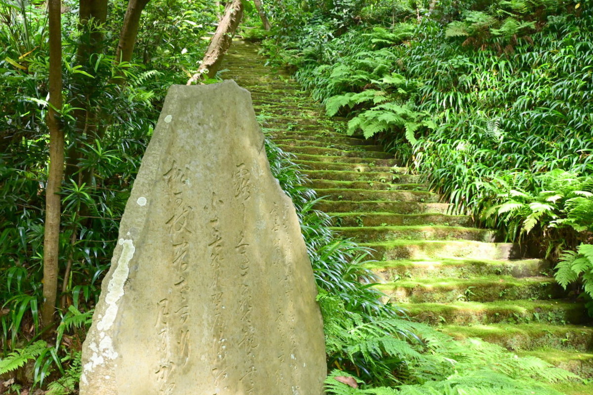 妙法寺：コケの石段（左から）