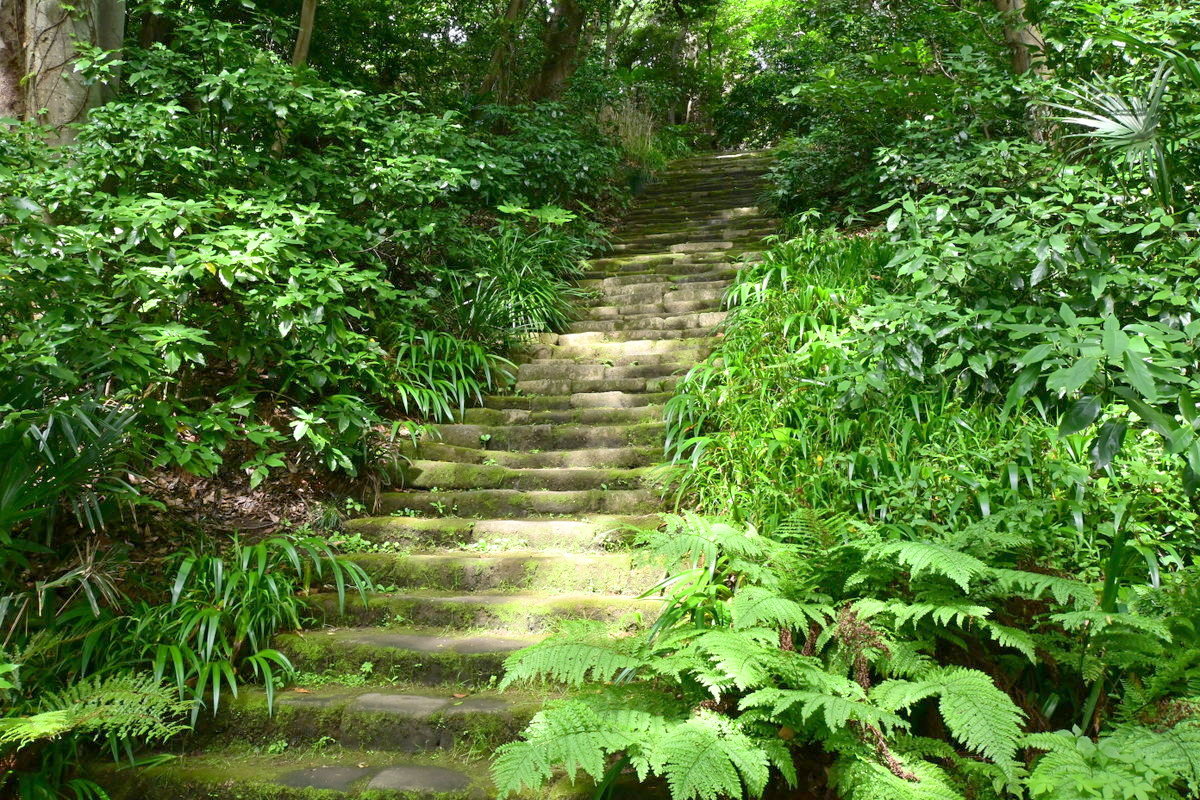 妙法寺：細い階段を登る