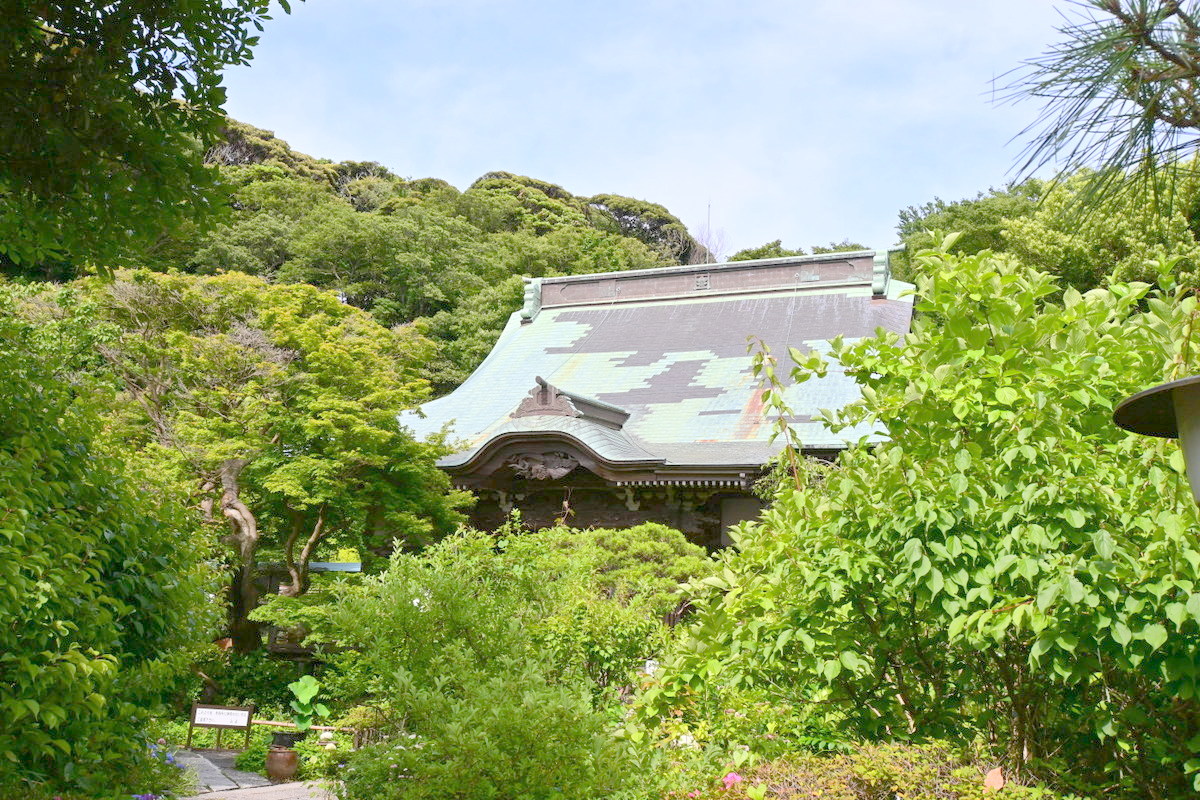 妙法寺：本堂遠景