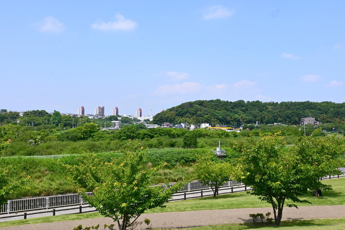 引地川親水公園：丘からの眺め