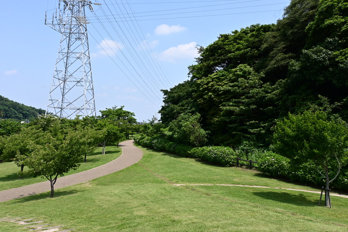 引地川親水公園：丘を降りて先へ進む