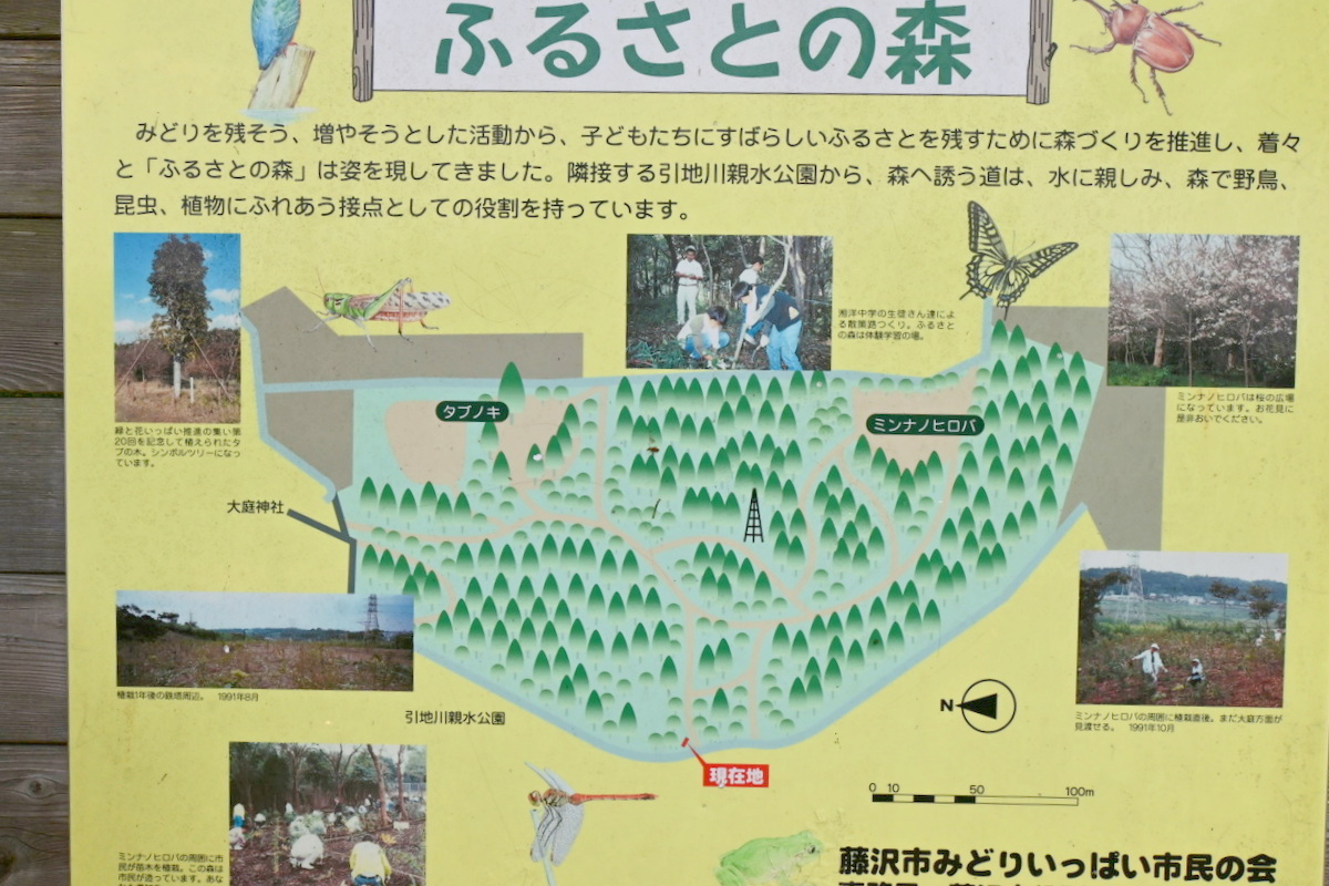 引地川親水公園：ふるさとの森案内図