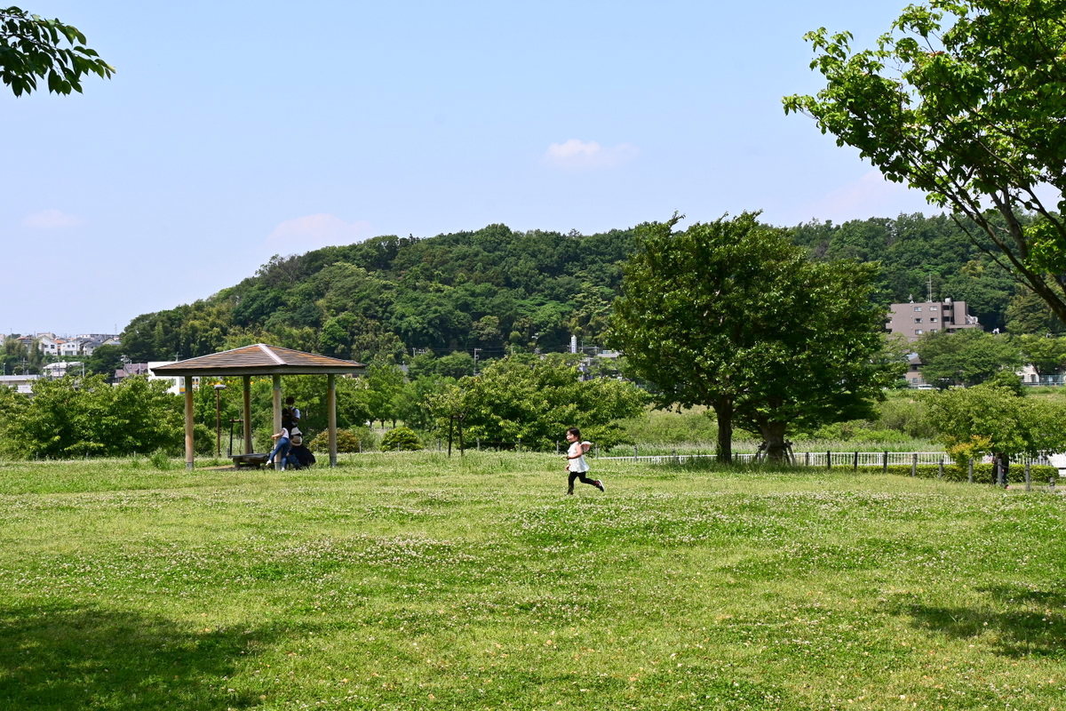 引地川親水公園：広場