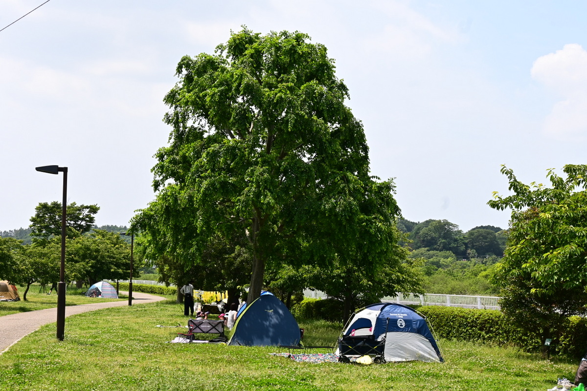 引地川親水公園：広場