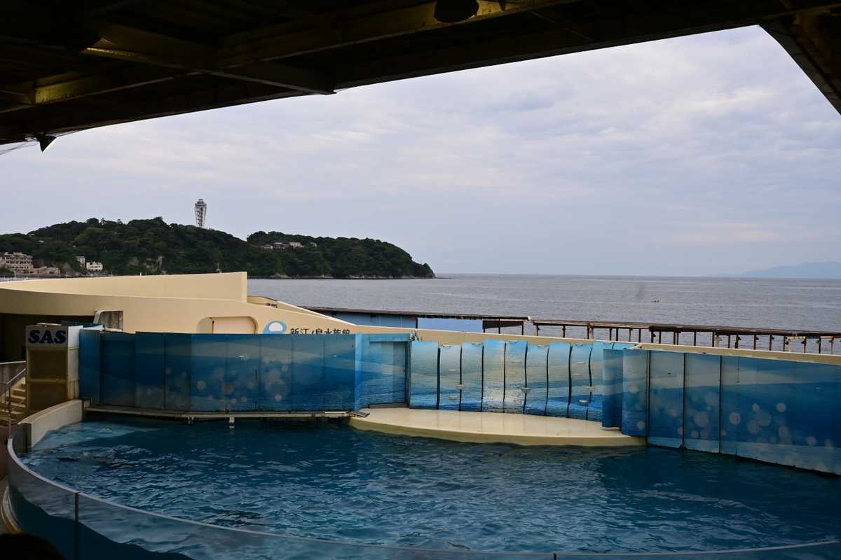 えのすい：イルカショースタジアムと江の島