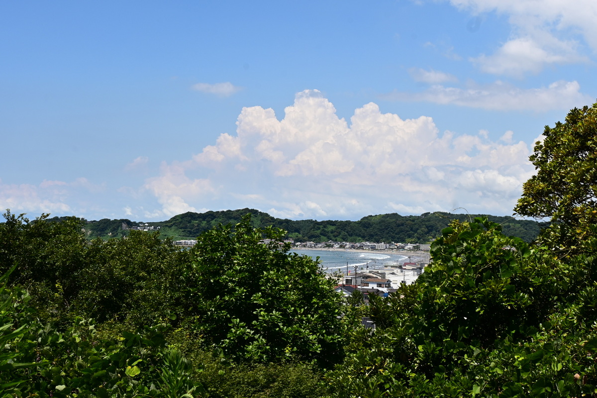 光明寺裏山の展望