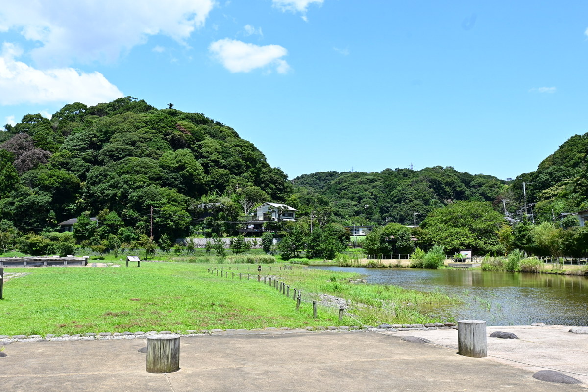 永福寺跡：南翼廊・中門付近