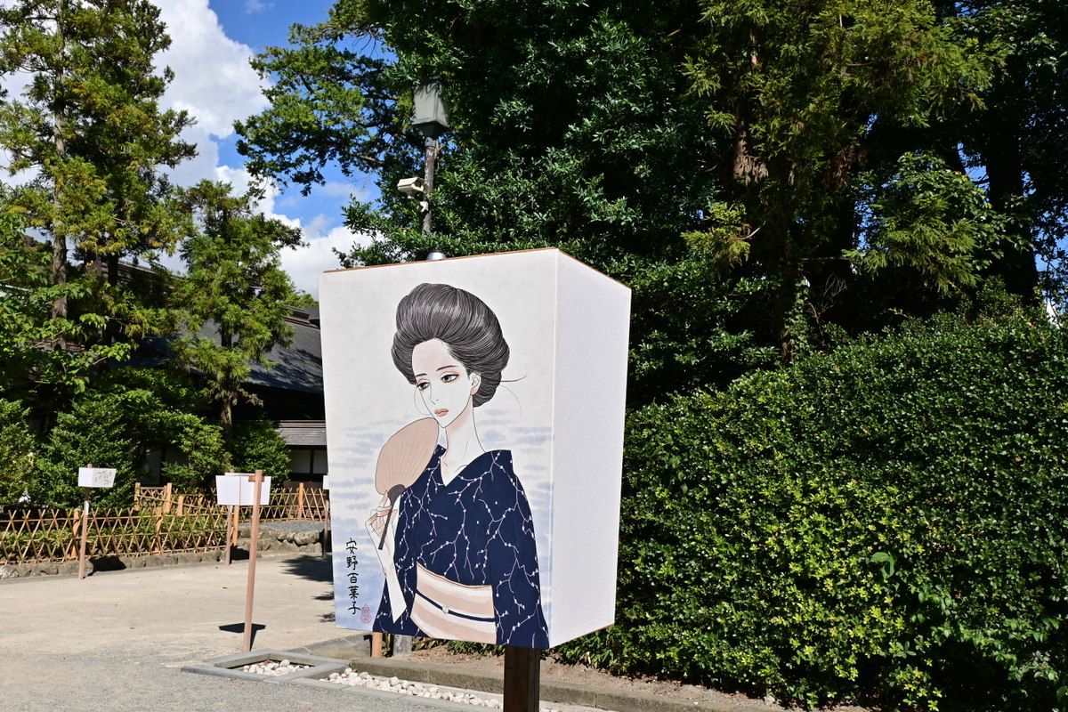 鶴岡八幡宮：ぼんぼり祭