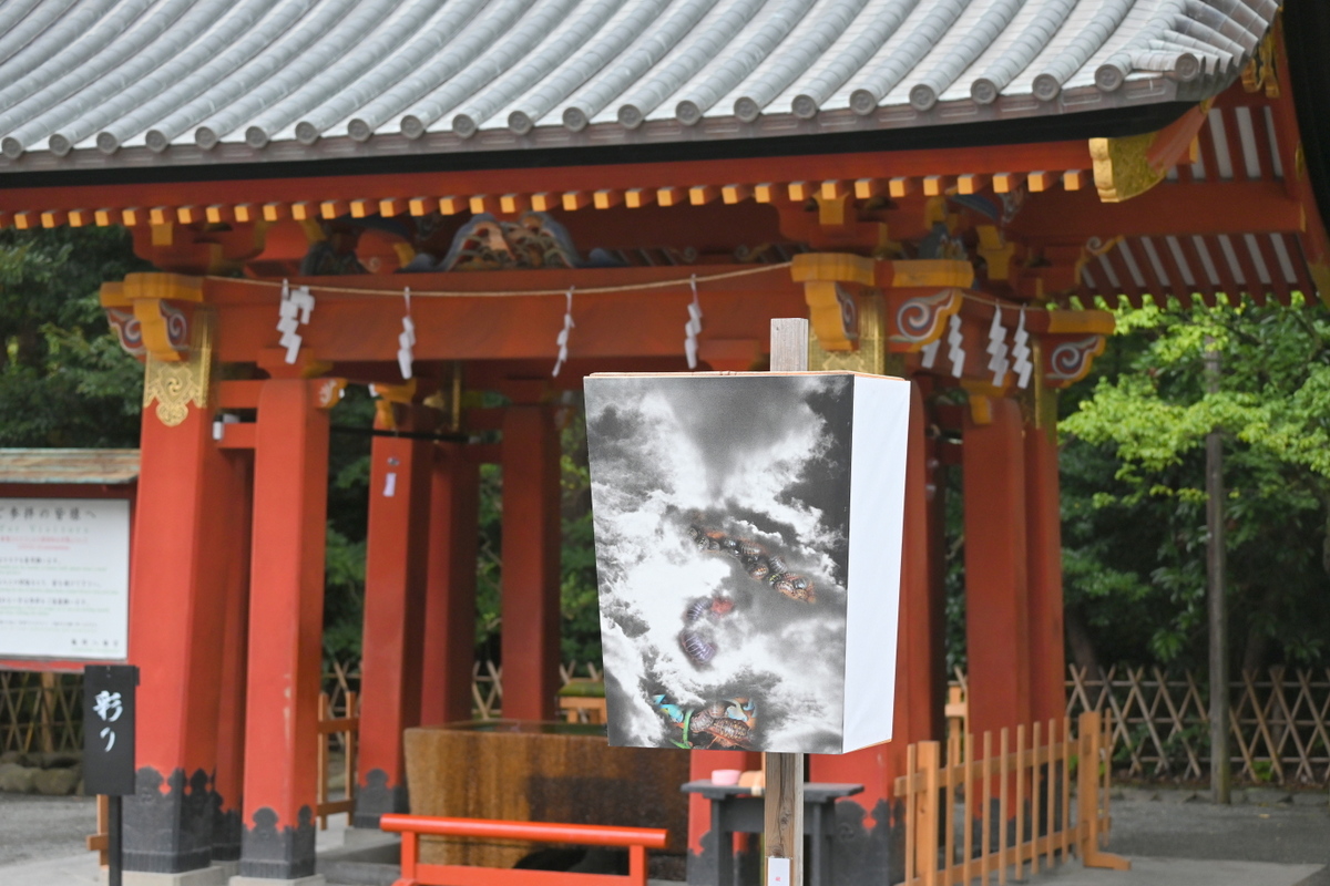 鶴岡八幡宮：ぼんぼり祭