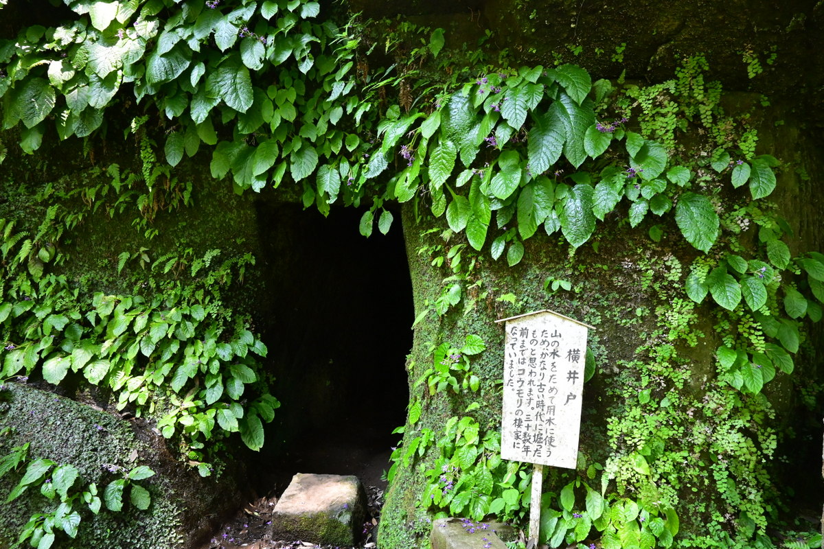 浄智寺：横井戸