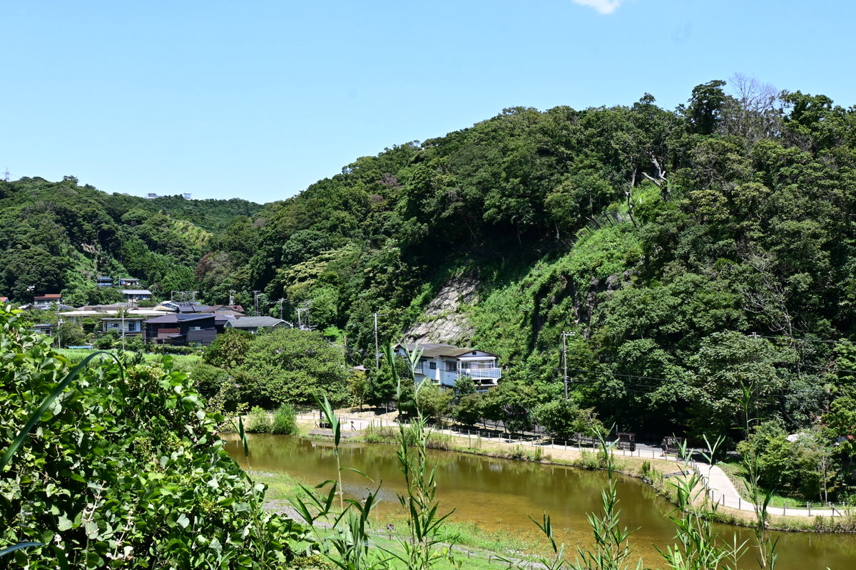 永福寺跡：遊歩道広場からの眺め