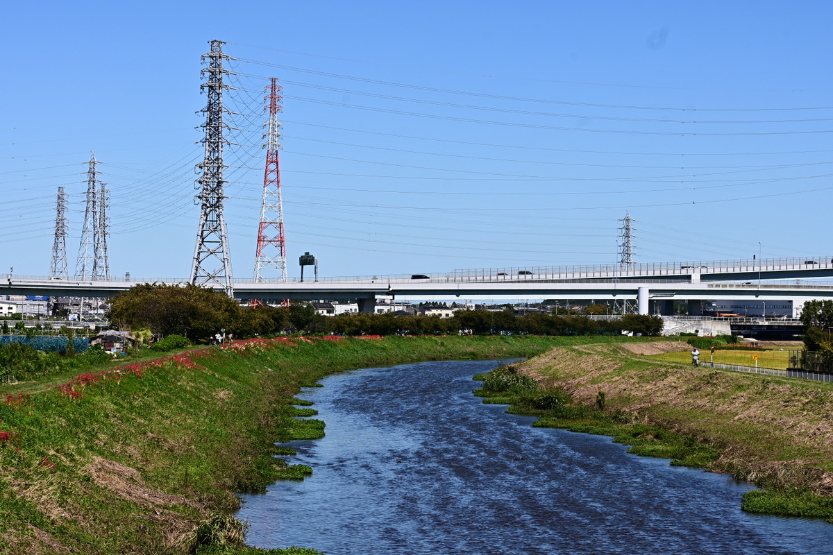 萩園橋からの眺め