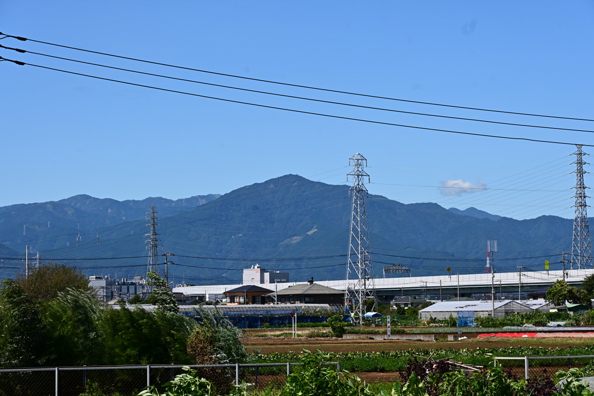 小出川から見る大山