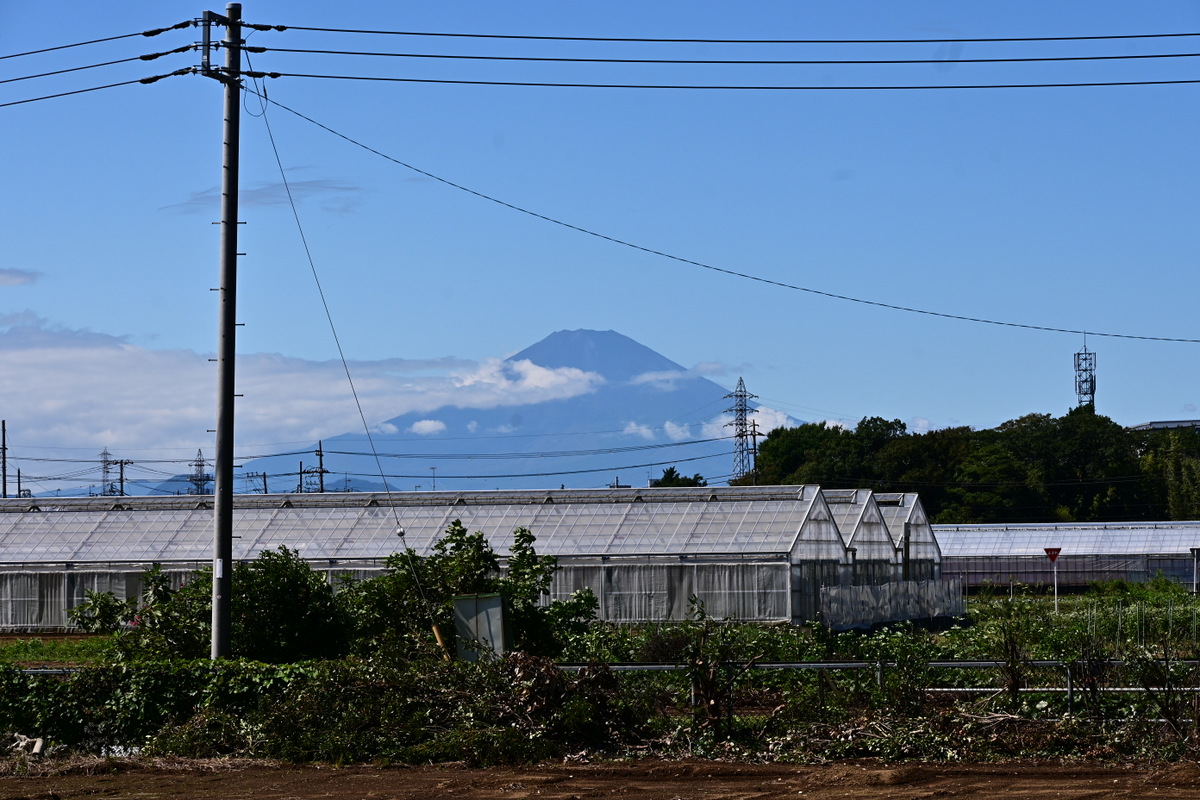 小出川から見る富士山