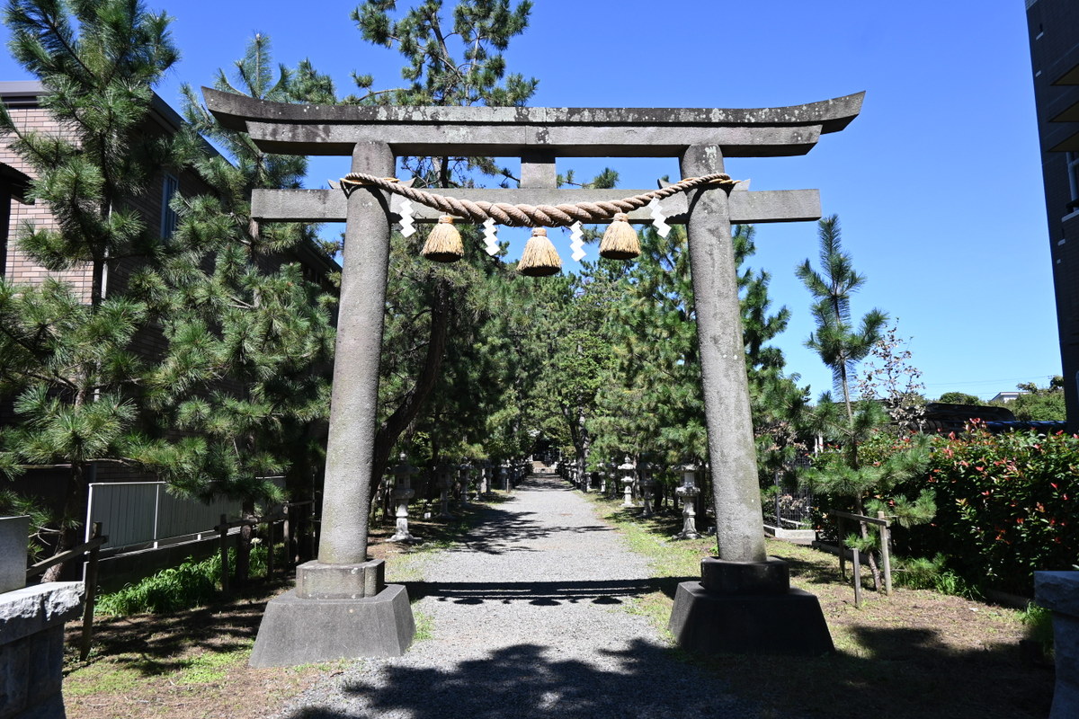 鶴嶺八幡宮：鳥居と松並木