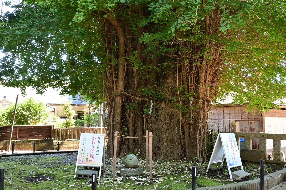 鶴嶺八幡宮：カワラケ投げ