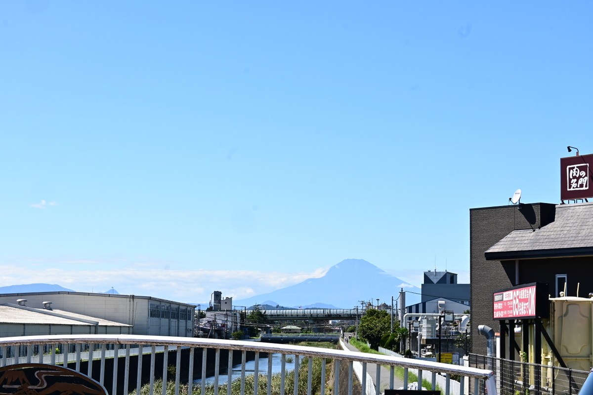 鳥井戸橋から見る富士山（南湖の左富士）