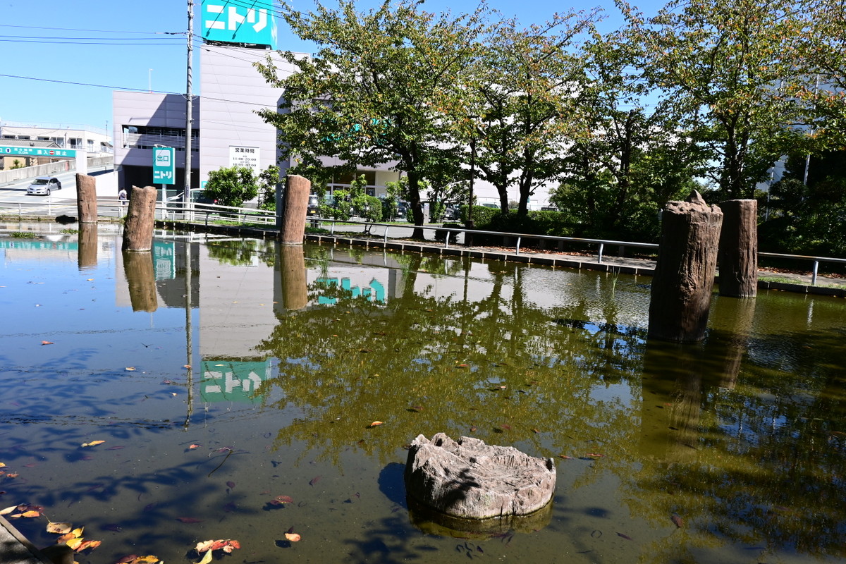 史跡・天然記念物　旧相模川橋脚