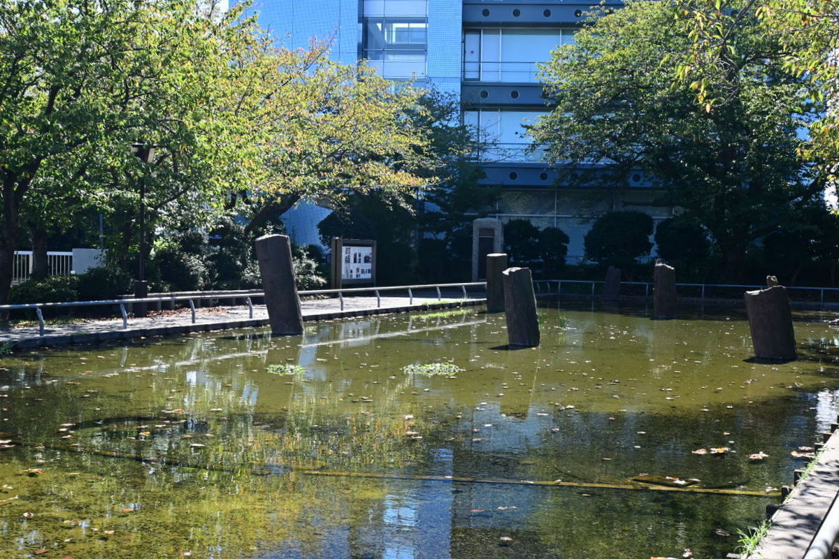 史跡・天然記念物　旧相模川橋脚