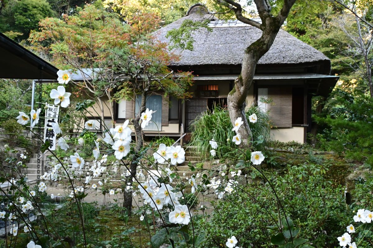 浄智寺：茶室