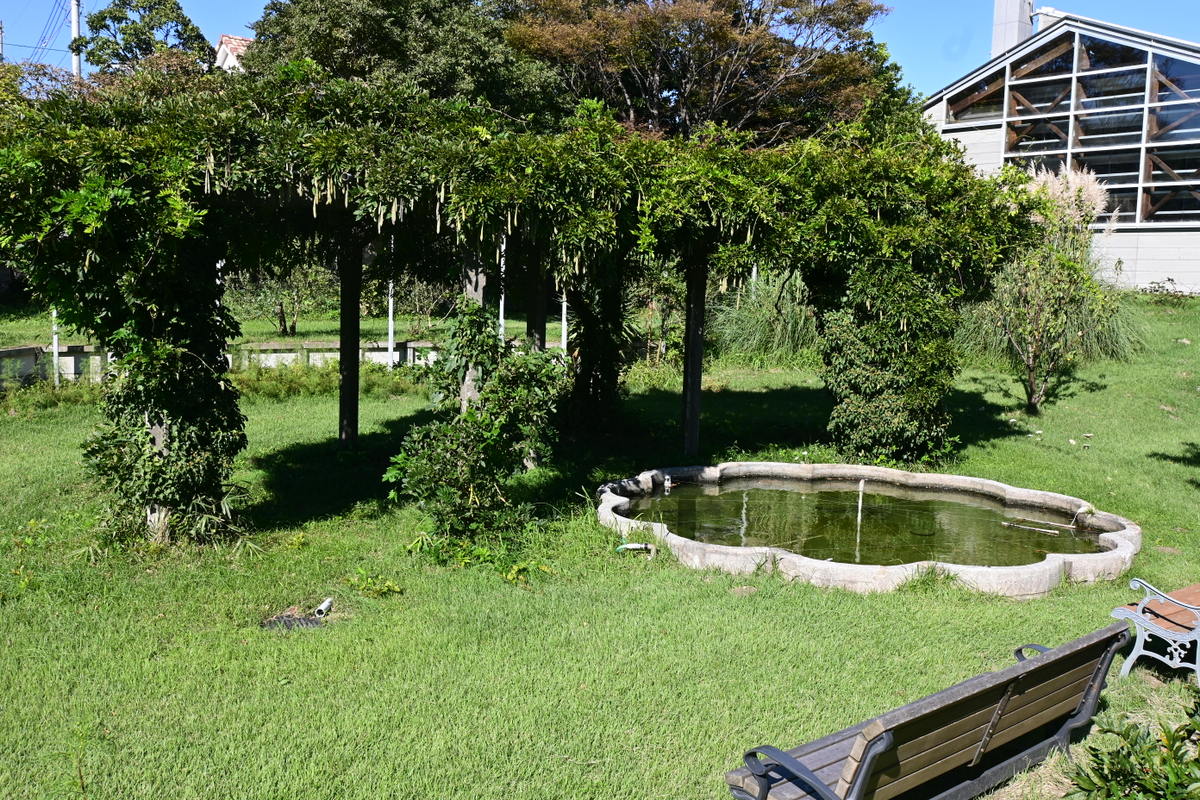 太陽の郷庭園：丸池と藤棚