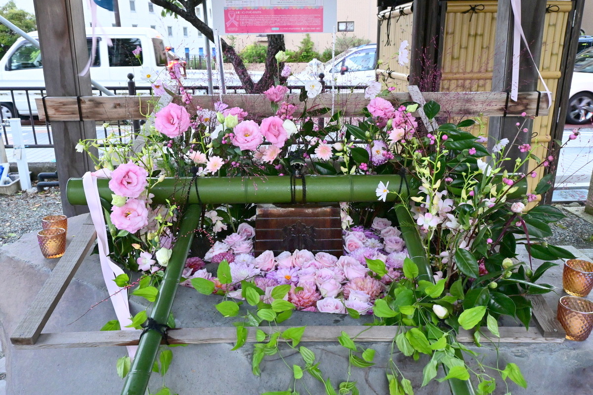 白旗神社：ピンクライトアップ（花手水）