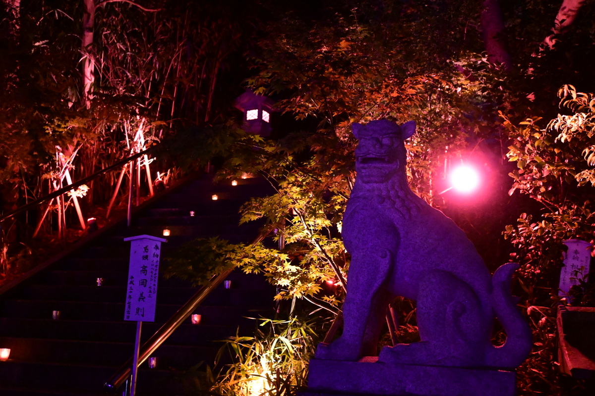 白旗神社：ピンクライトアップ（狛犬）