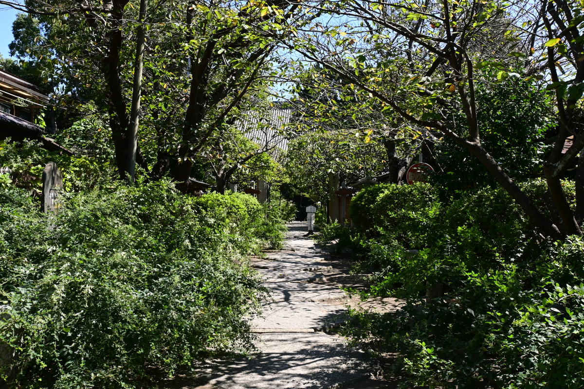 宝戒寺：参道