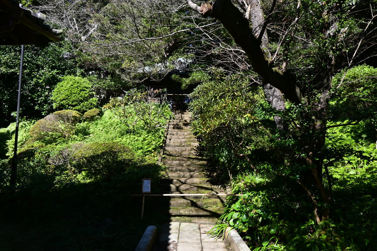 浄光明寺：仏殿へ向かう階段
