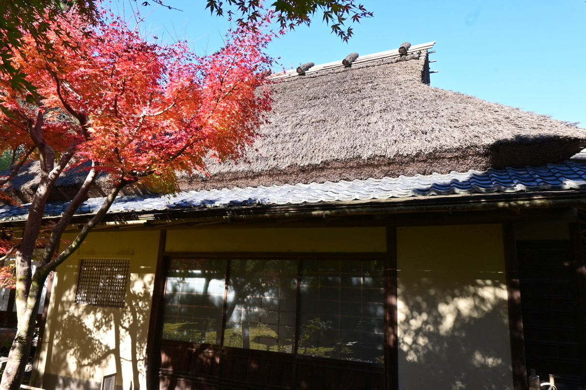 紅葉の一条恵観山荘