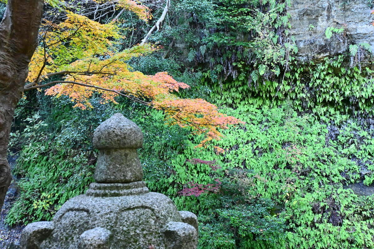 一条恵観山荘：石燈籠と紅葉