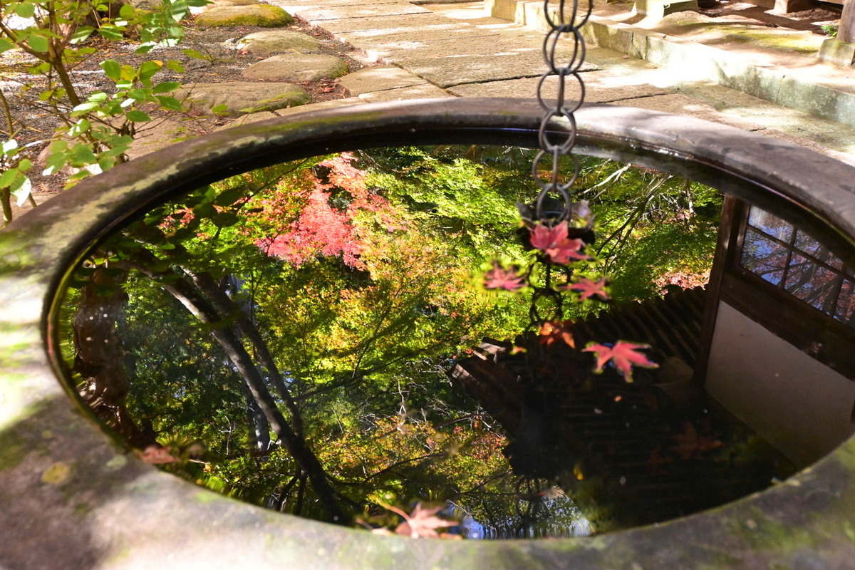 覚園寺：愛染堂の水鉢