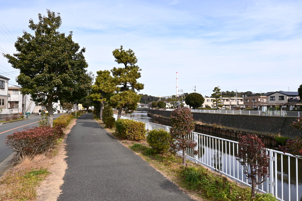 引地川沿いの遊歩道