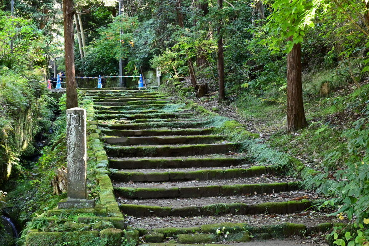 円覚寺：苔むした階段