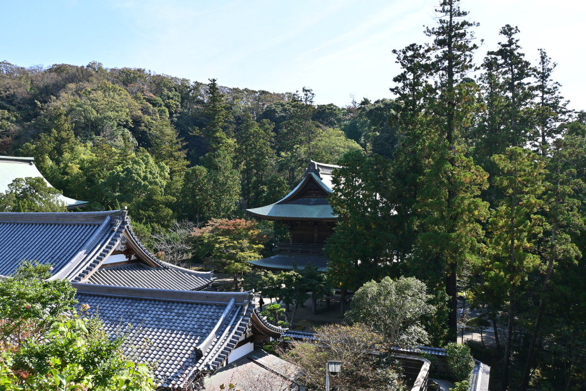 松嶺院墓地からの眺め：山門