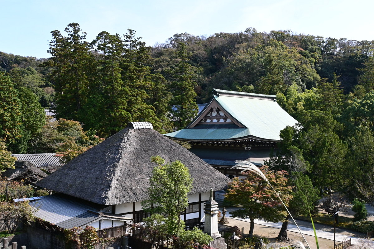 松嶺院墓地からの眺め：選仏場と仏殿