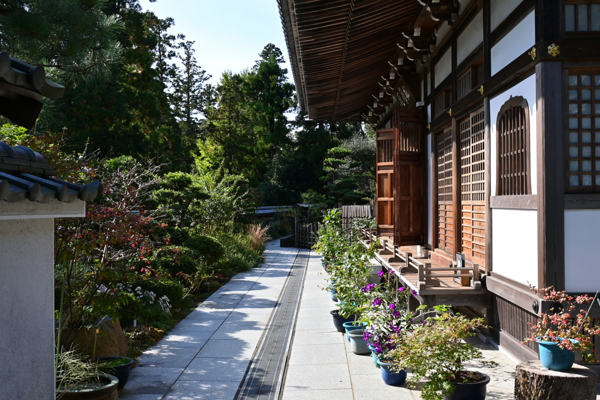 円覚寺：松嶺院本堂前の通路