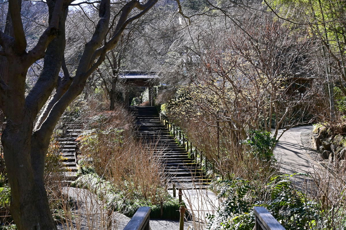 明月院：桂橋から見る山門と鎌倉石の階段