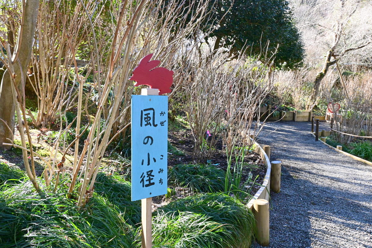 明月院：風の小径