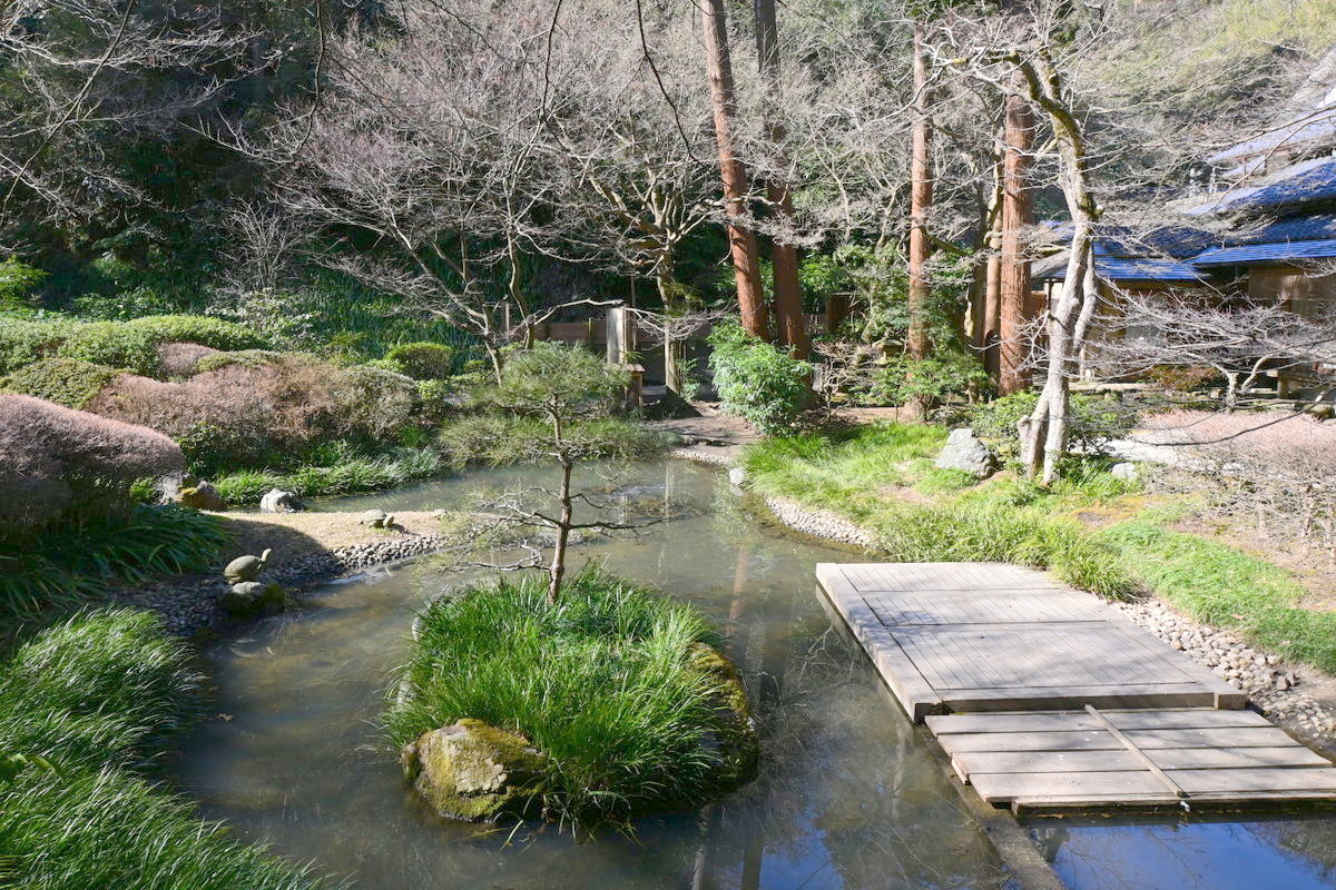 明月院：奥庭の池