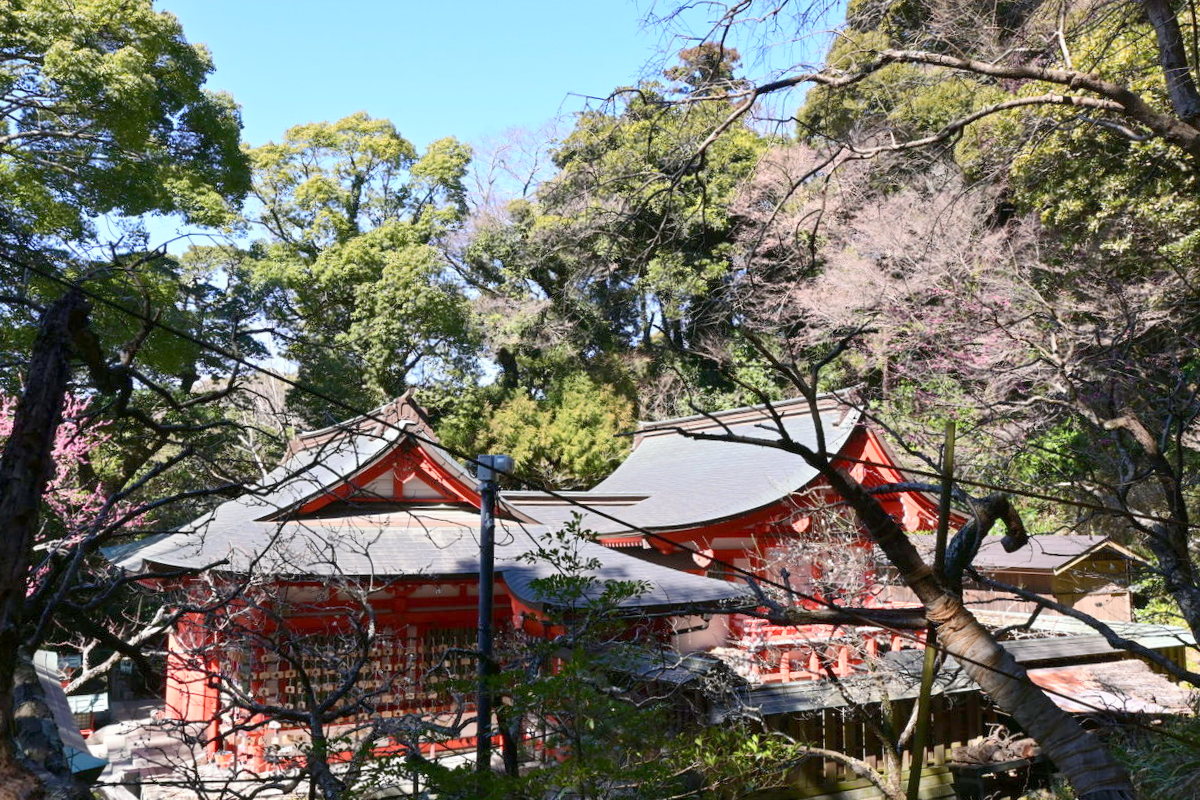 荏柄天神社の社殿（向かって右側から）