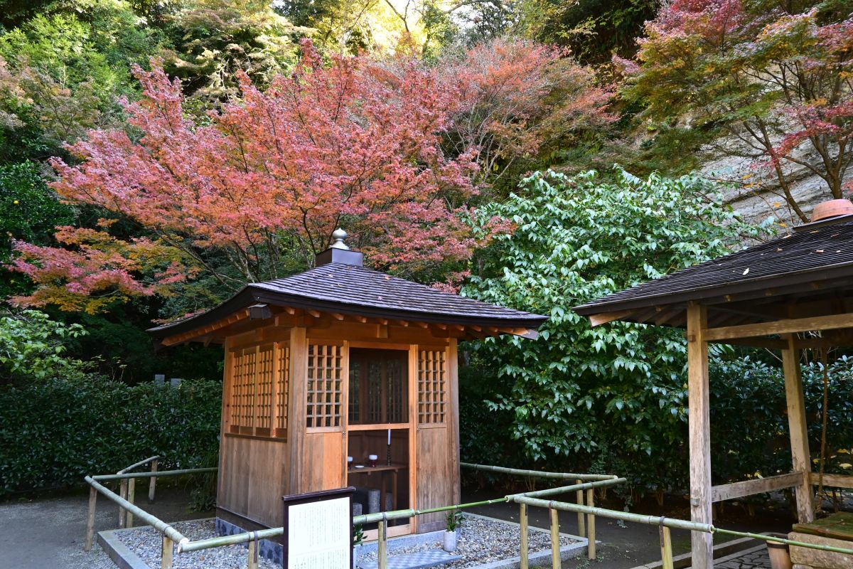 明月院：山ノ内經俊（つねとし）公墓所（2025年11月撮影）
