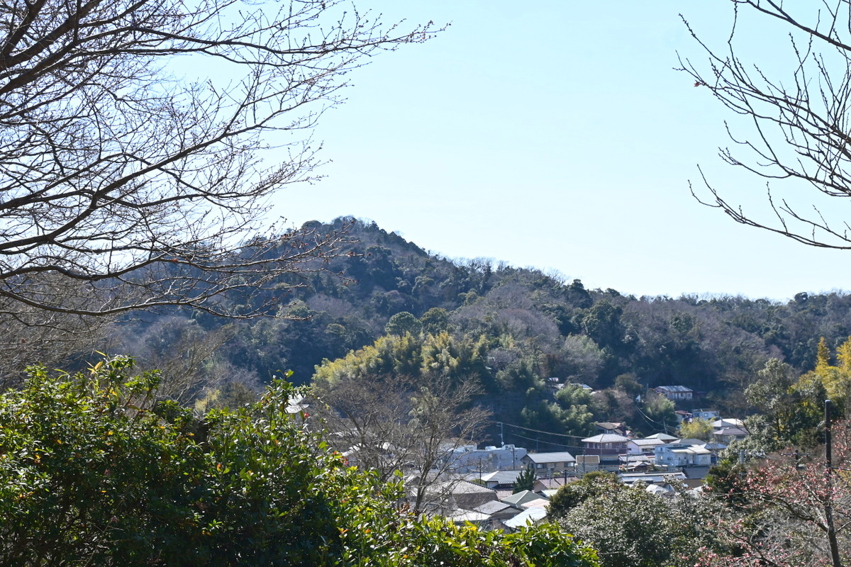 浄妙寺：散策路から見た衣張山