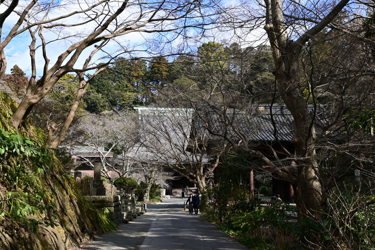 妙本寺：鐘楼脇の道を二天門方面へ