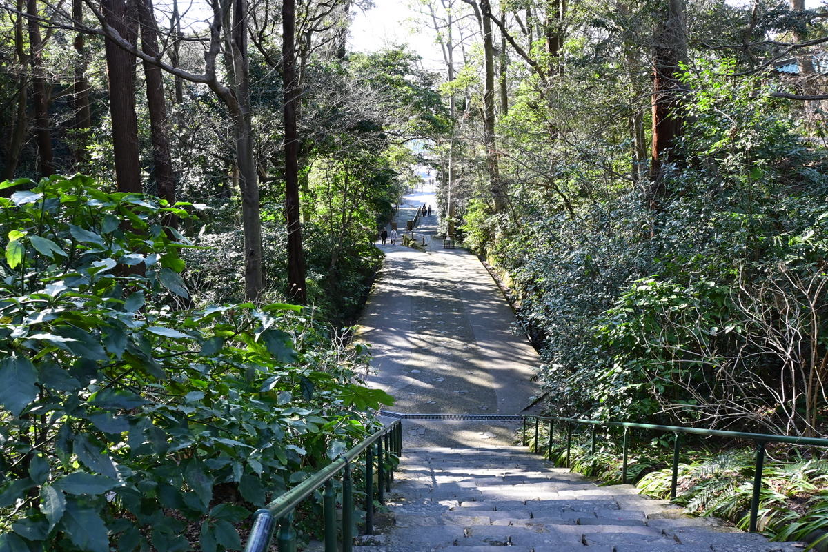 妙本寺：木立の中を行く